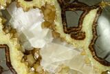 Calcite Crystal Filled, Polished Septarian Bear - Utah #160175-1